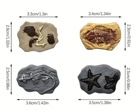 Fossil Chocolate and Fondant Mold – Create Realistic Fossil Shapes for Cakes and Dessert